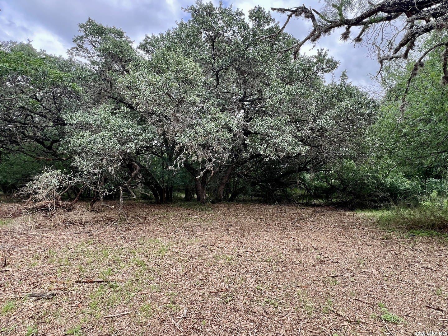 3.54 acres in Bexar County - photo 11