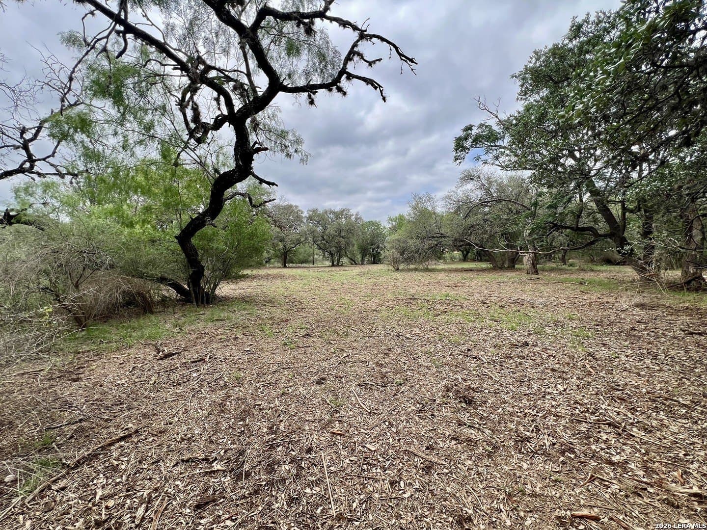 3.54 acres in Bexar County - photo 13