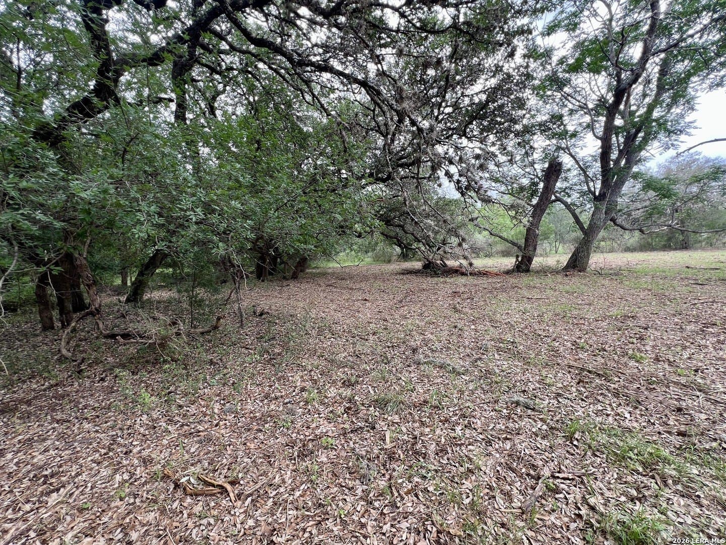 3.54 acres in Bexar County - photo 18