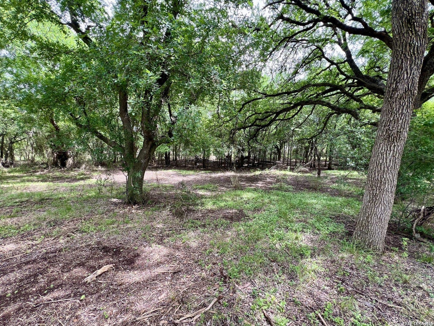 3.54 acres in Bexar County - photo 24