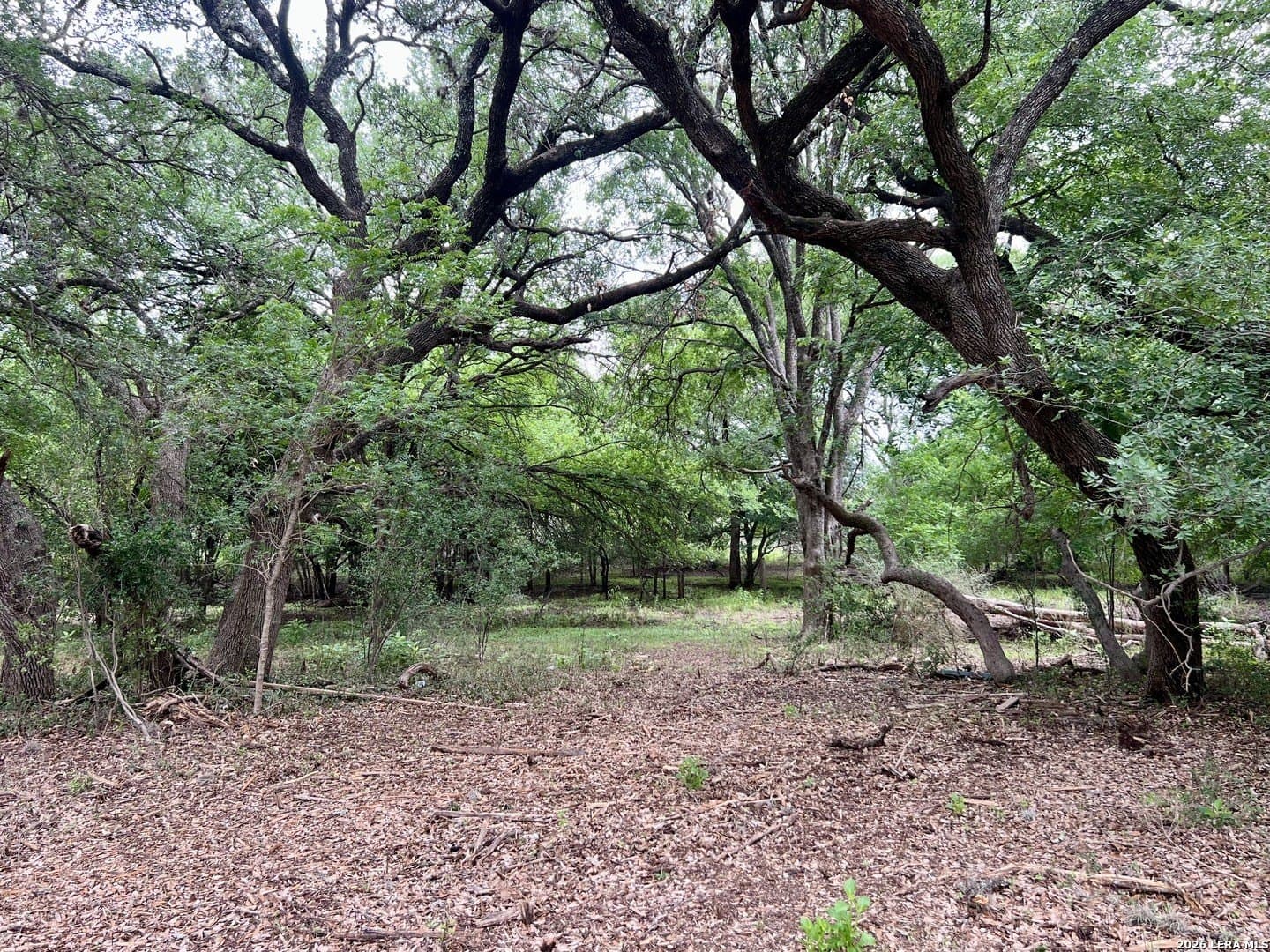 3.54 acres in Bexar County - photo 20