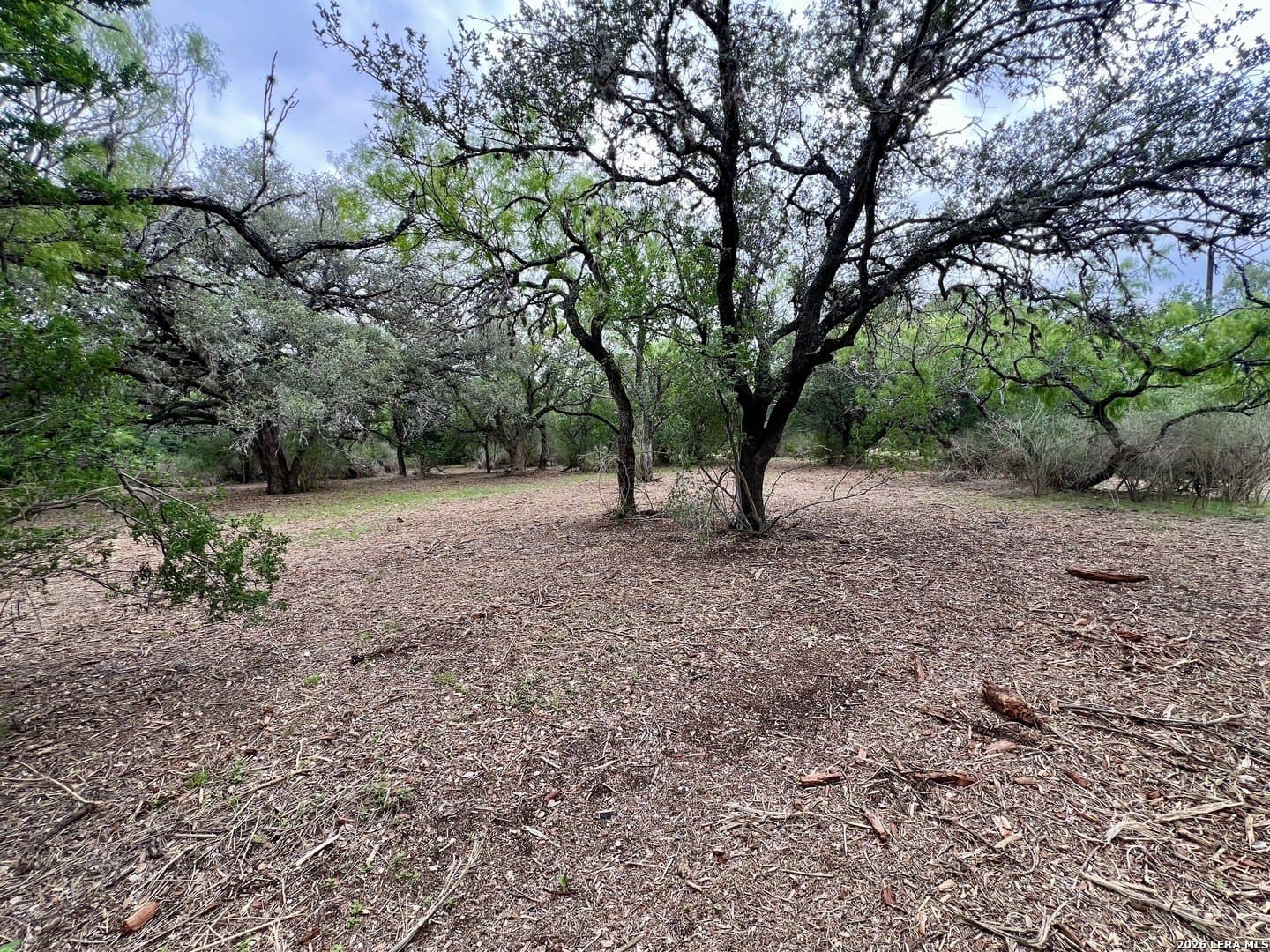 3.54 acres in Bexar County - photo 29