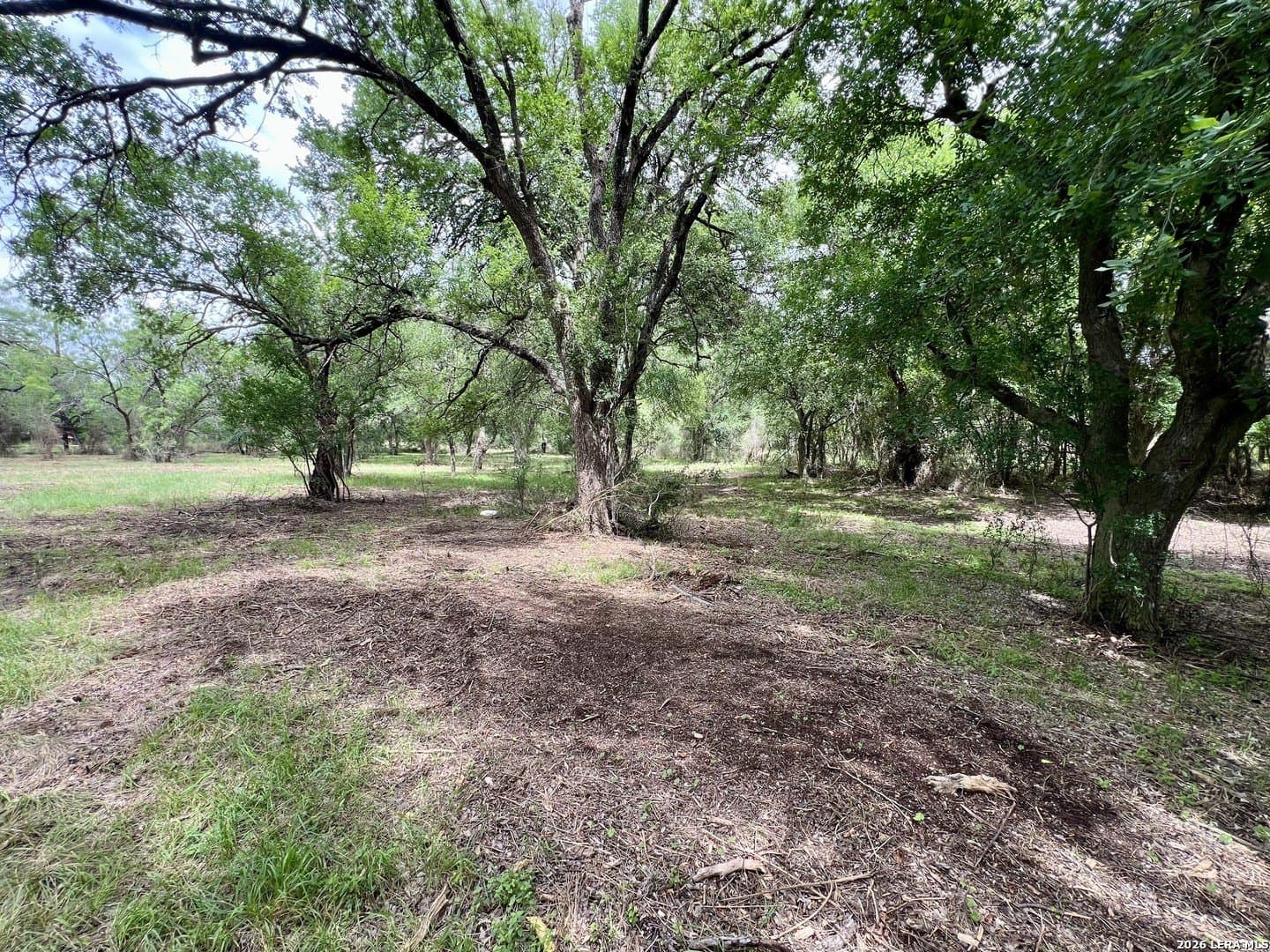 3.54 acres in Bexar County - photo 23