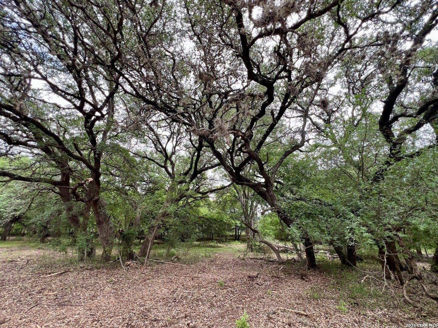 3.54 acres in Bexar County - photo 19