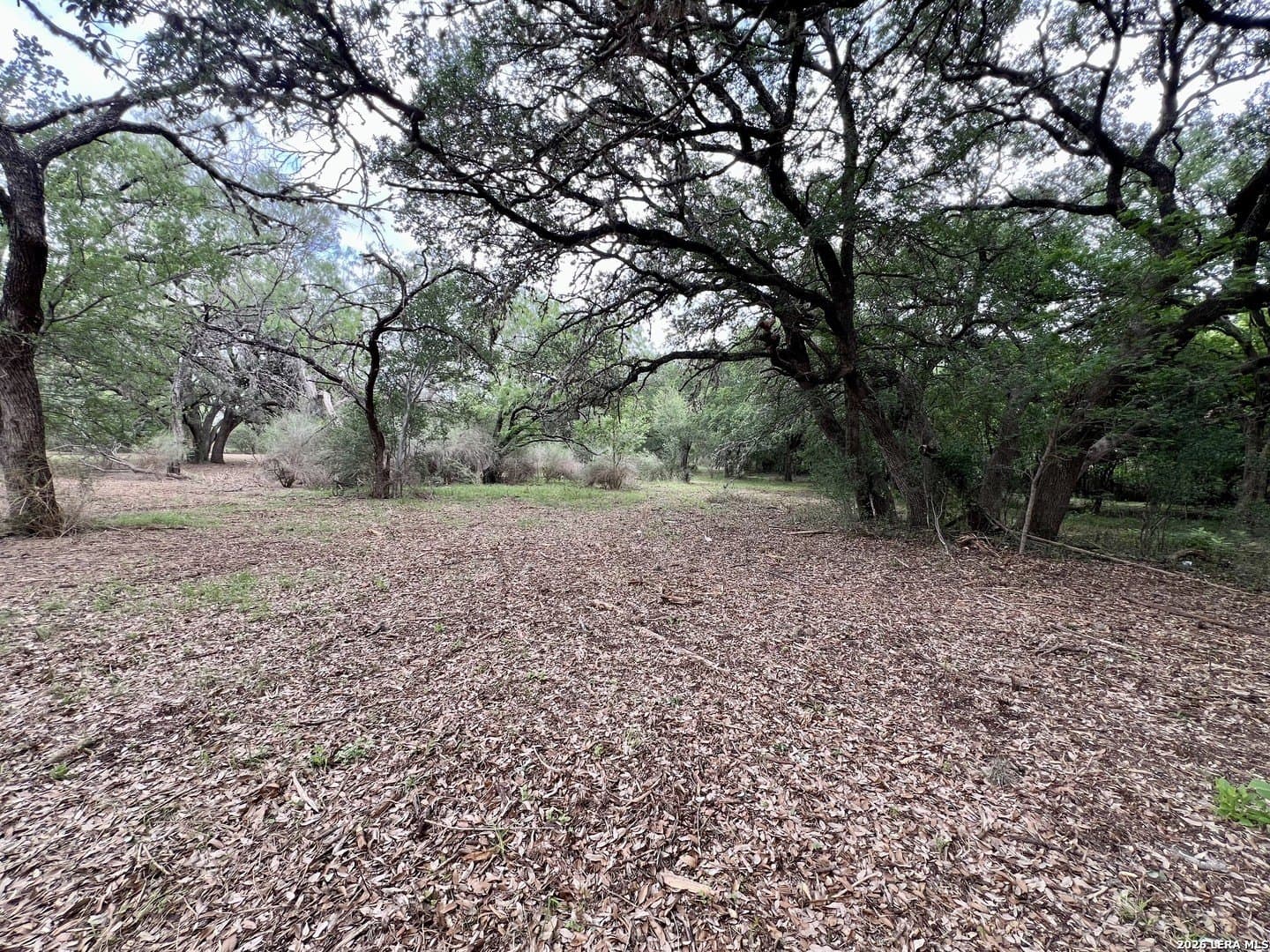 3.54 acres in Bexar County - photo 15