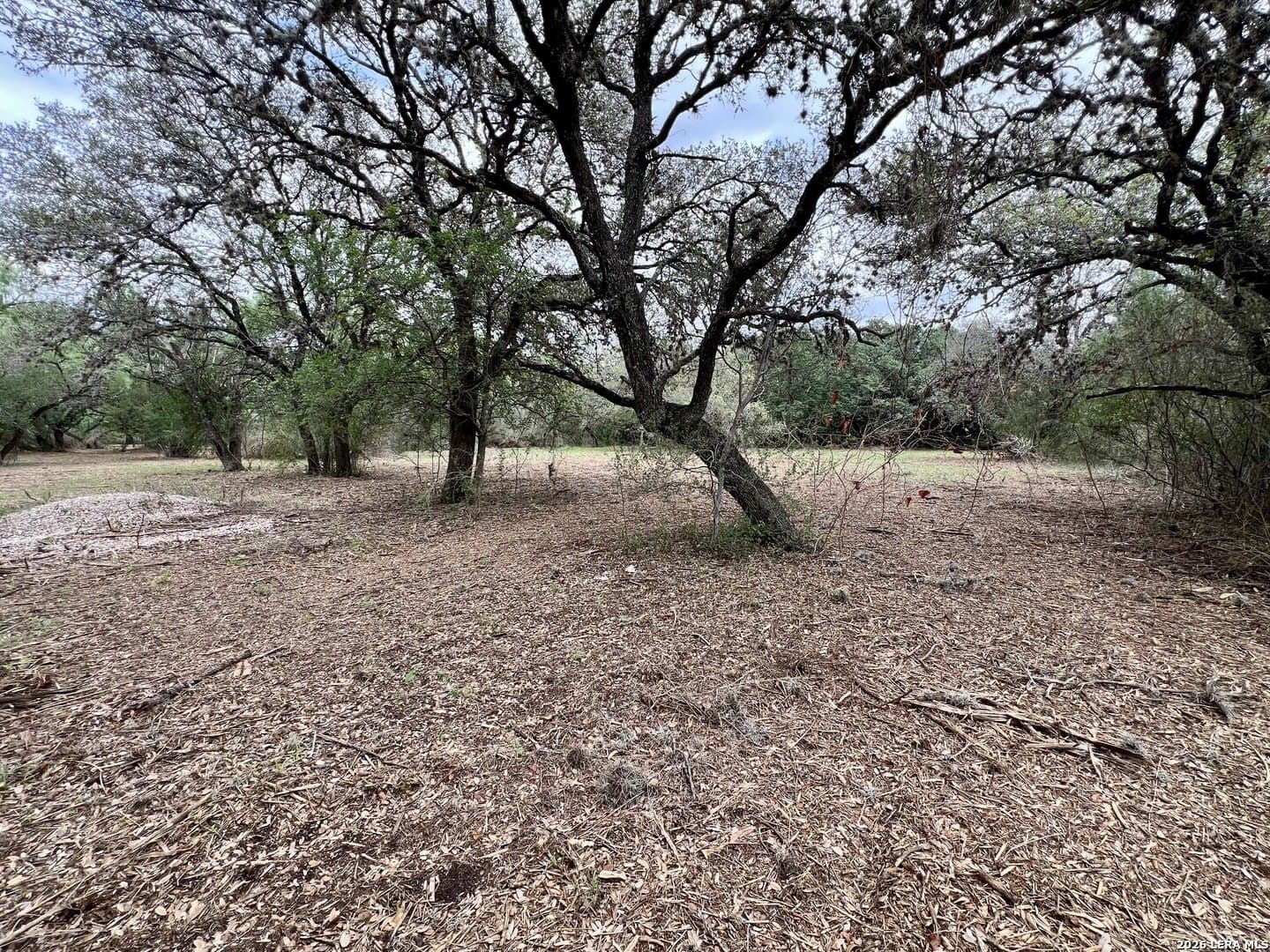 3.54 acres in Bexar County - photo 10