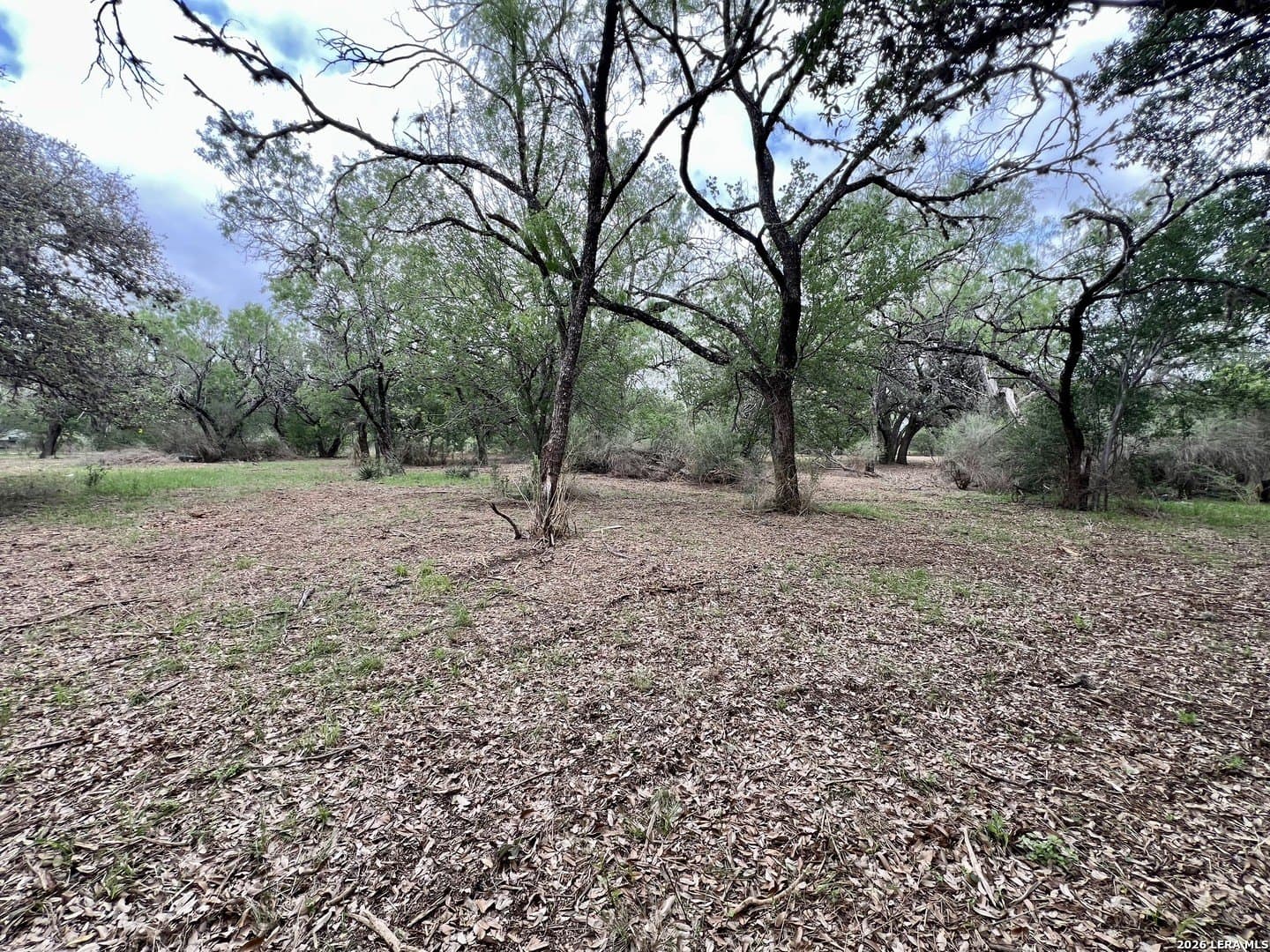 3.54 acres in Bexar County - photo 16