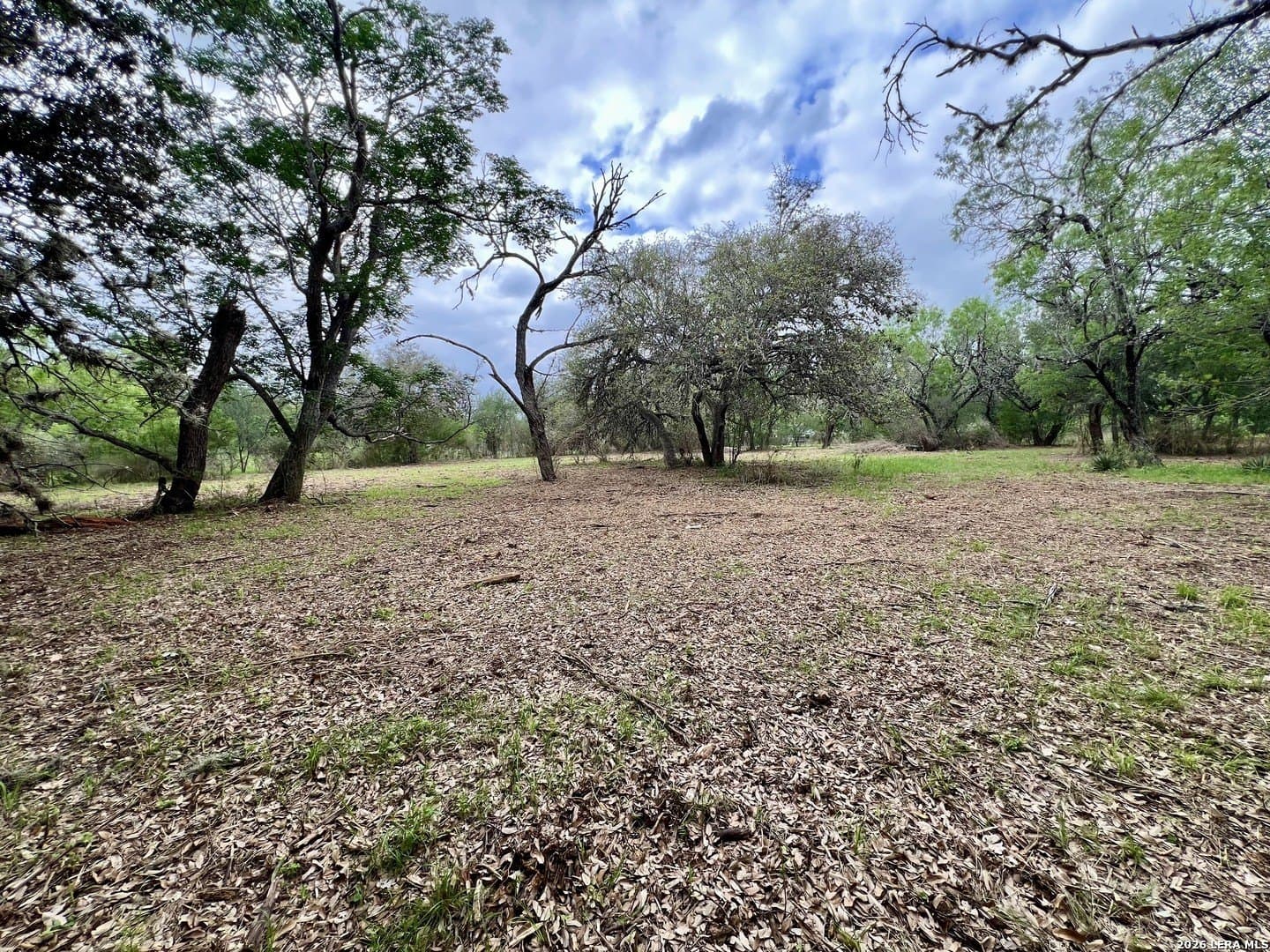 3.54 acres in Bexar County - photo 17