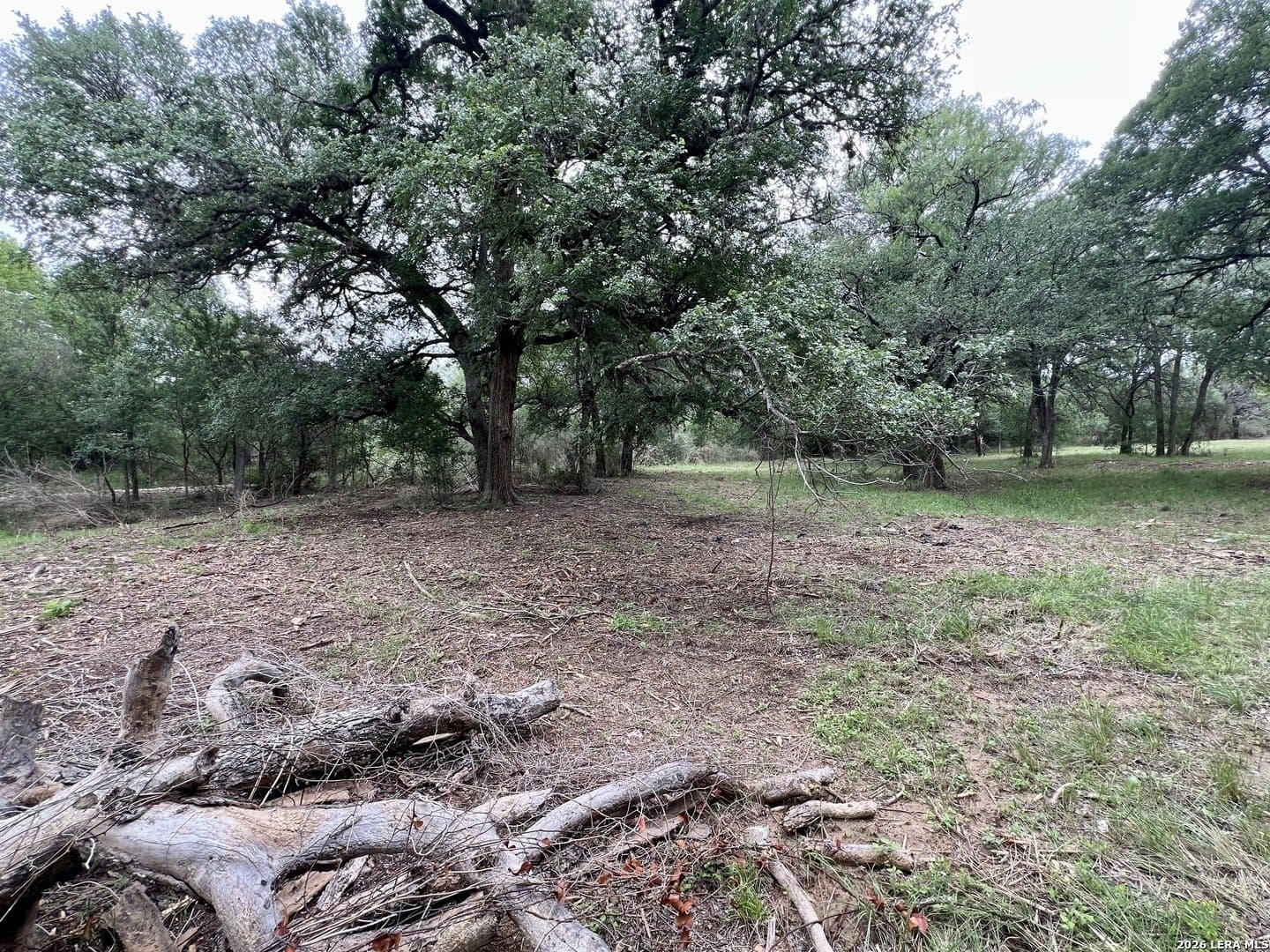 3.54 acres in Bexar County - photo 25