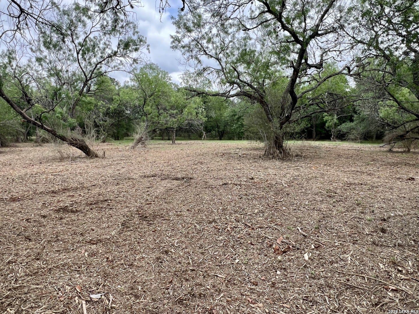 3.54 acres in Bexar County - photo 28