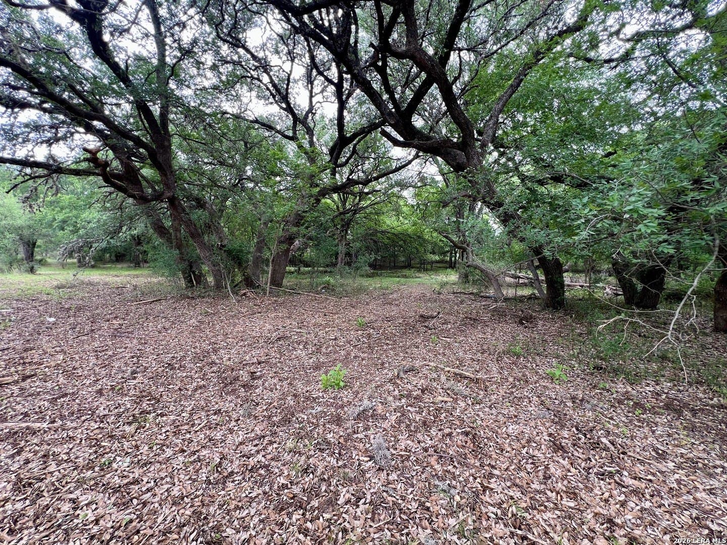 3.54 acres in Bexar County - photo 14