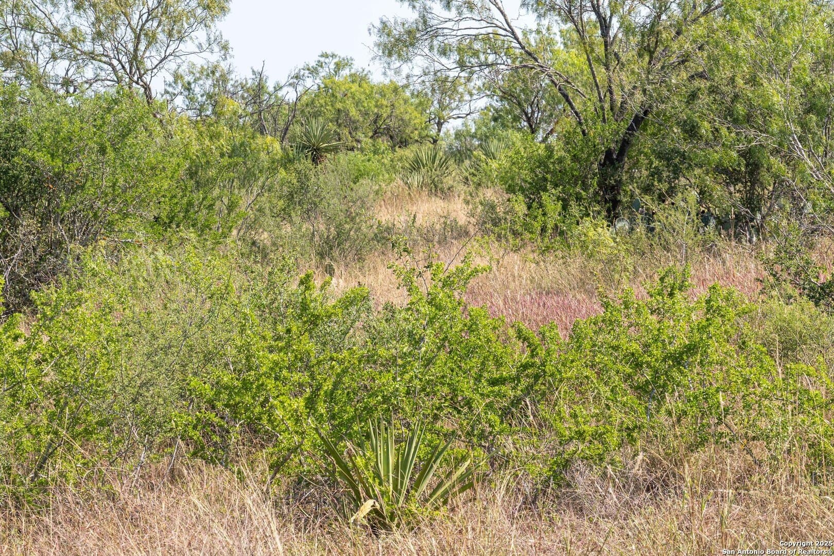 9.33 acres in Bexar County - photo 5