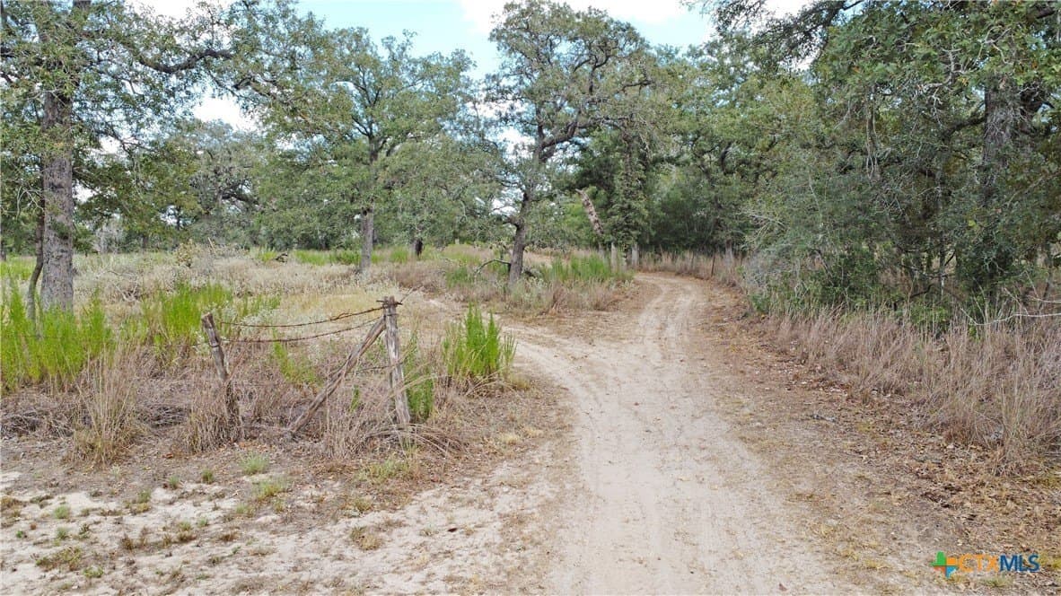 10.01 acres in Guadalupe County - photo 30