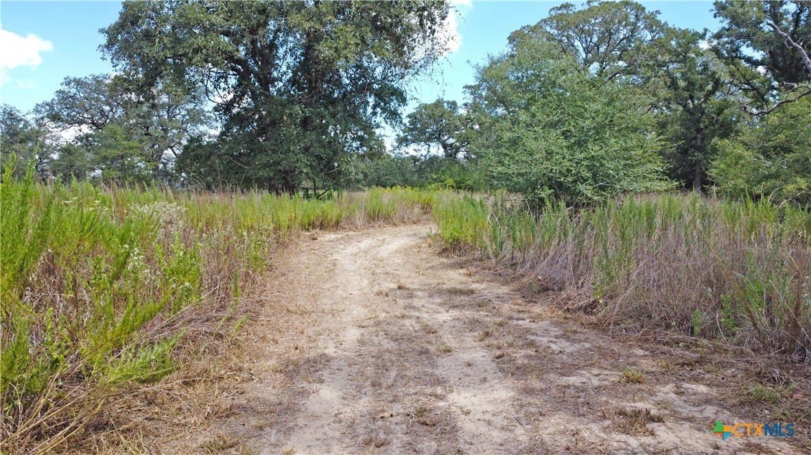 10.01 acres in Guadalupe County - photo 31