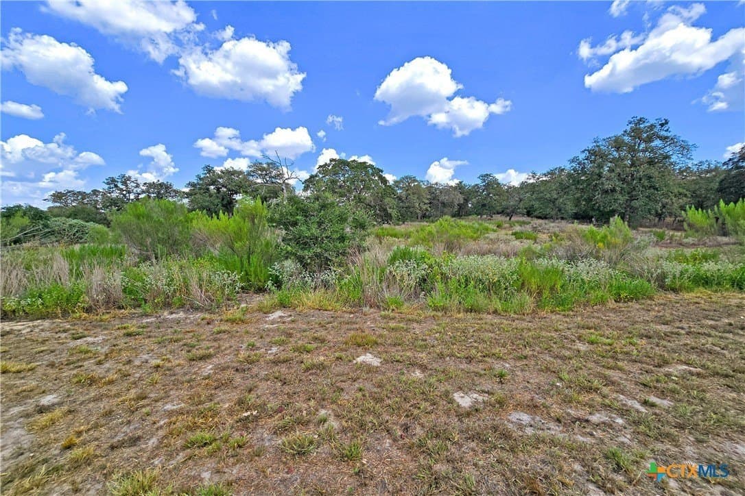 10.01 acres in Guadalupe County - photo 17