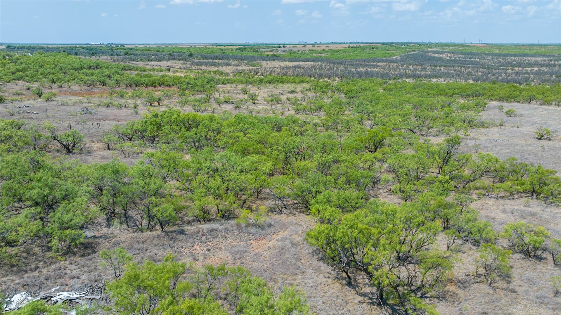 420.5 acres in Jones County - photo 22