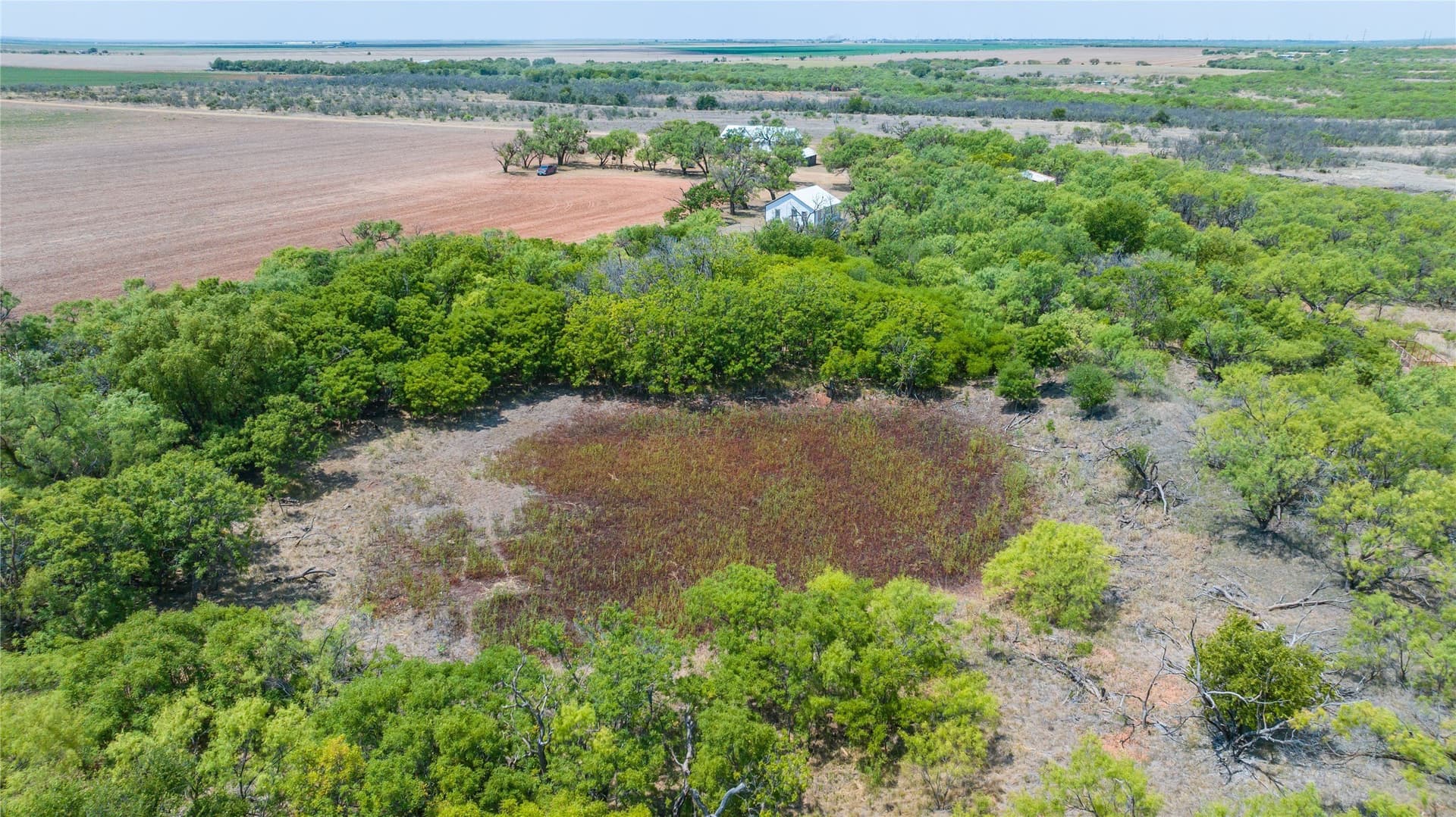 420.5 acres in Jones County - photo 15