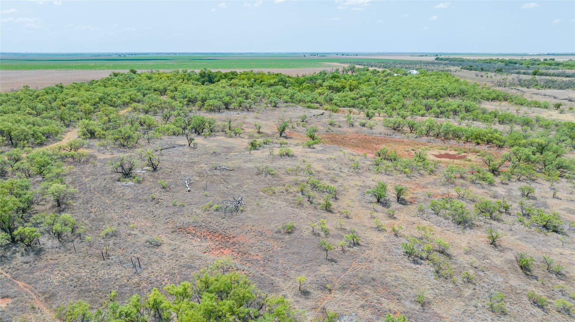 420.5 acres in Jones County - photo 20