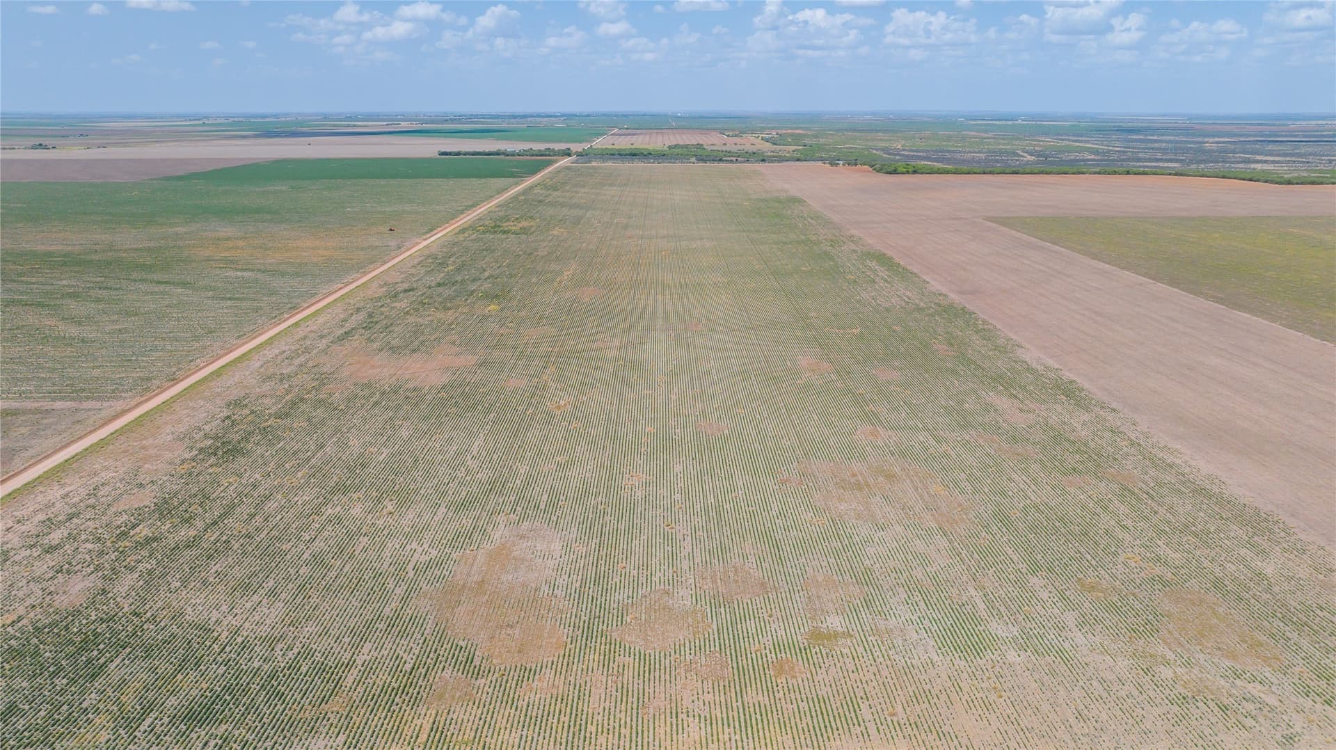 420.5 acres in Jones County - photo 28