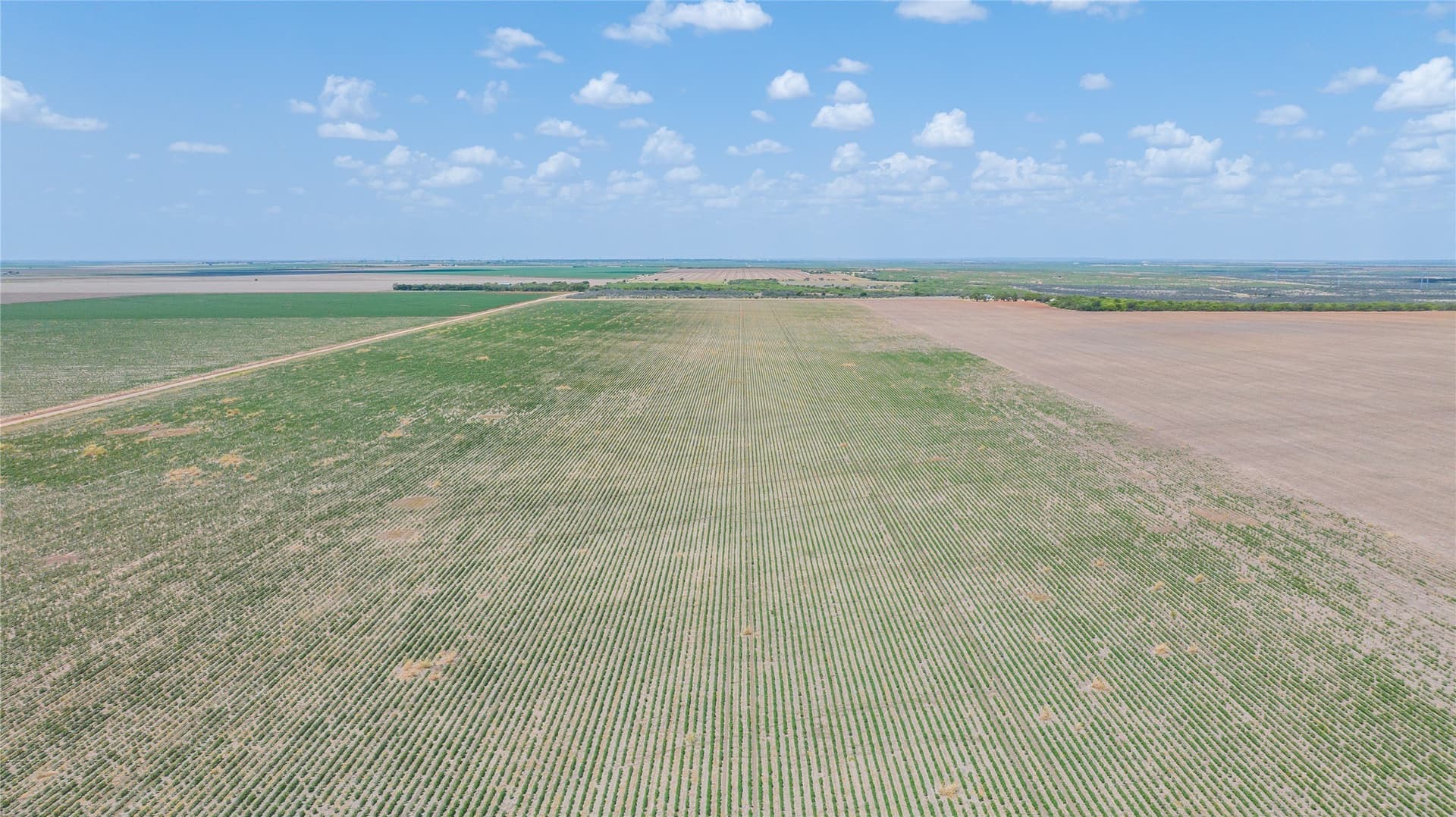 420.5 acres in Jones County - photo 25