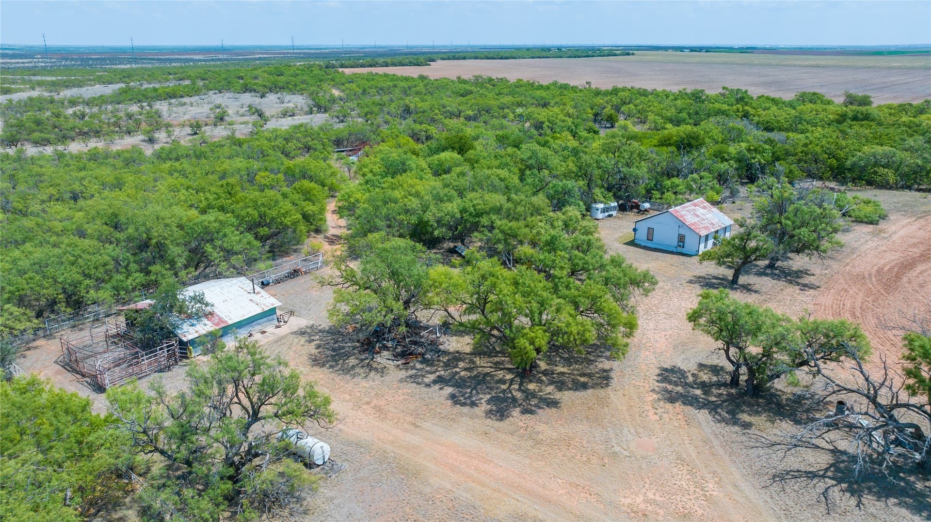 420.5 acres in Jones County - photo 10