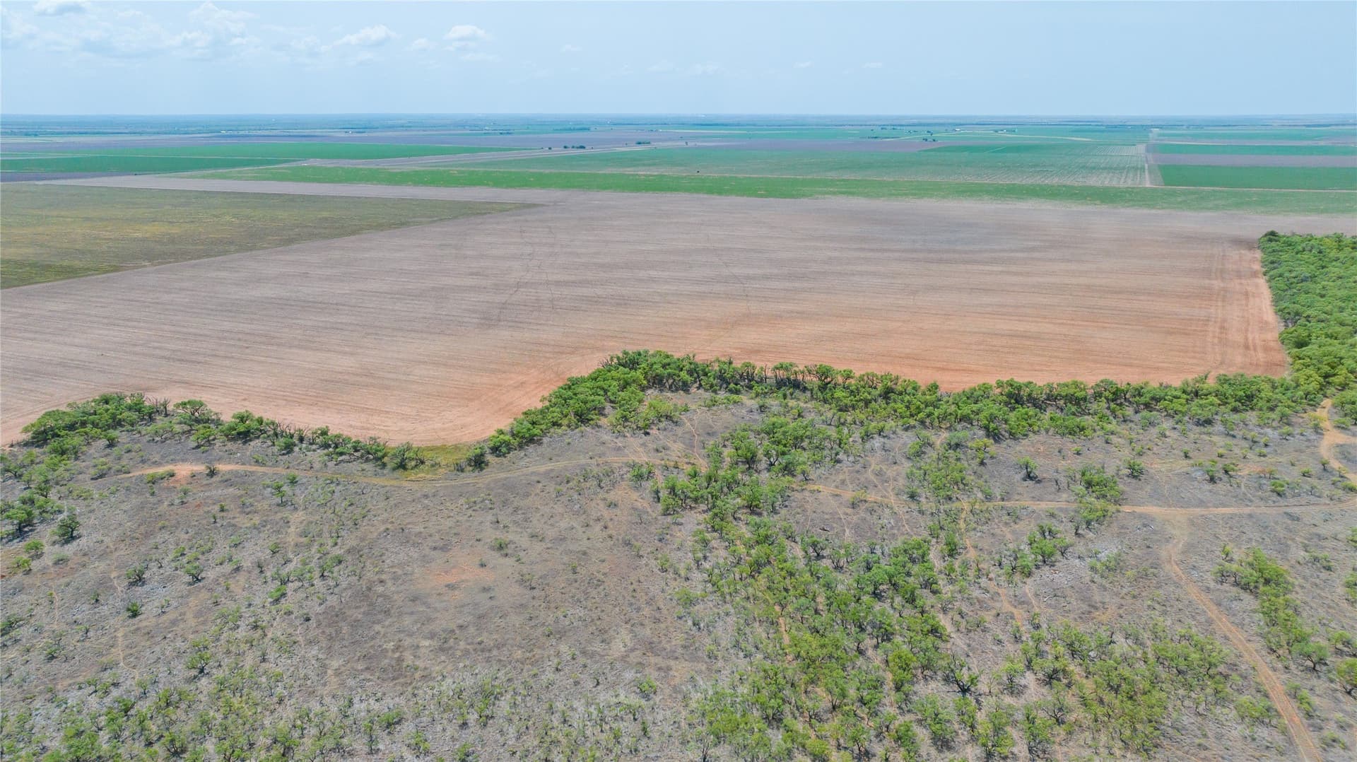 420.5 acres in Jones County - photo 34