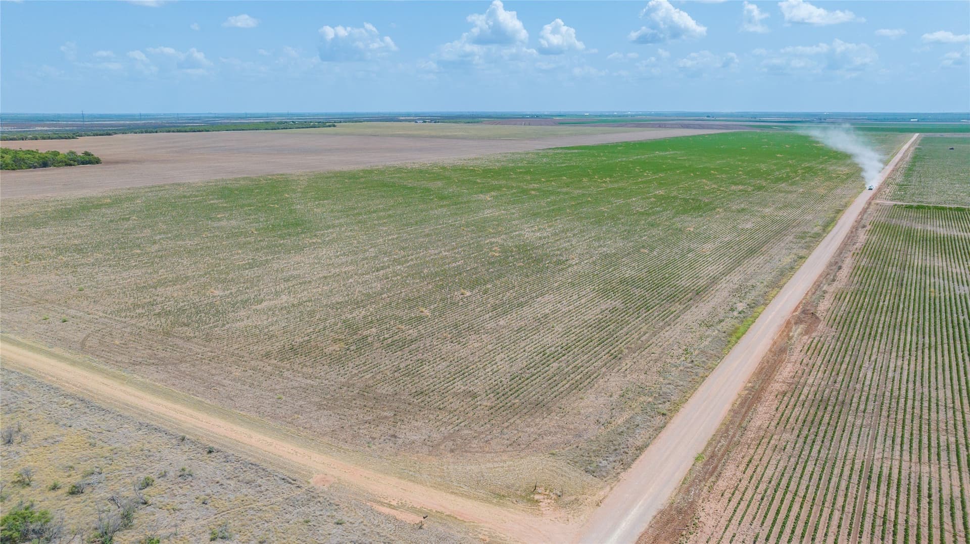420.5 acres in Jones County - photo 5