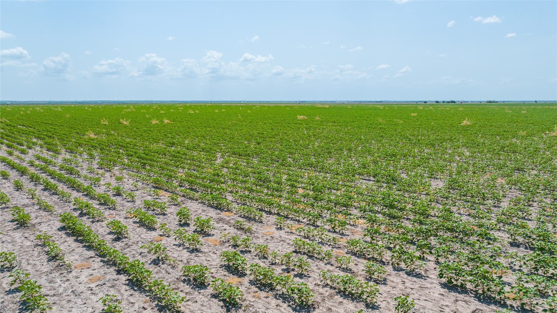 420.5 acres in Jones County - photo 38