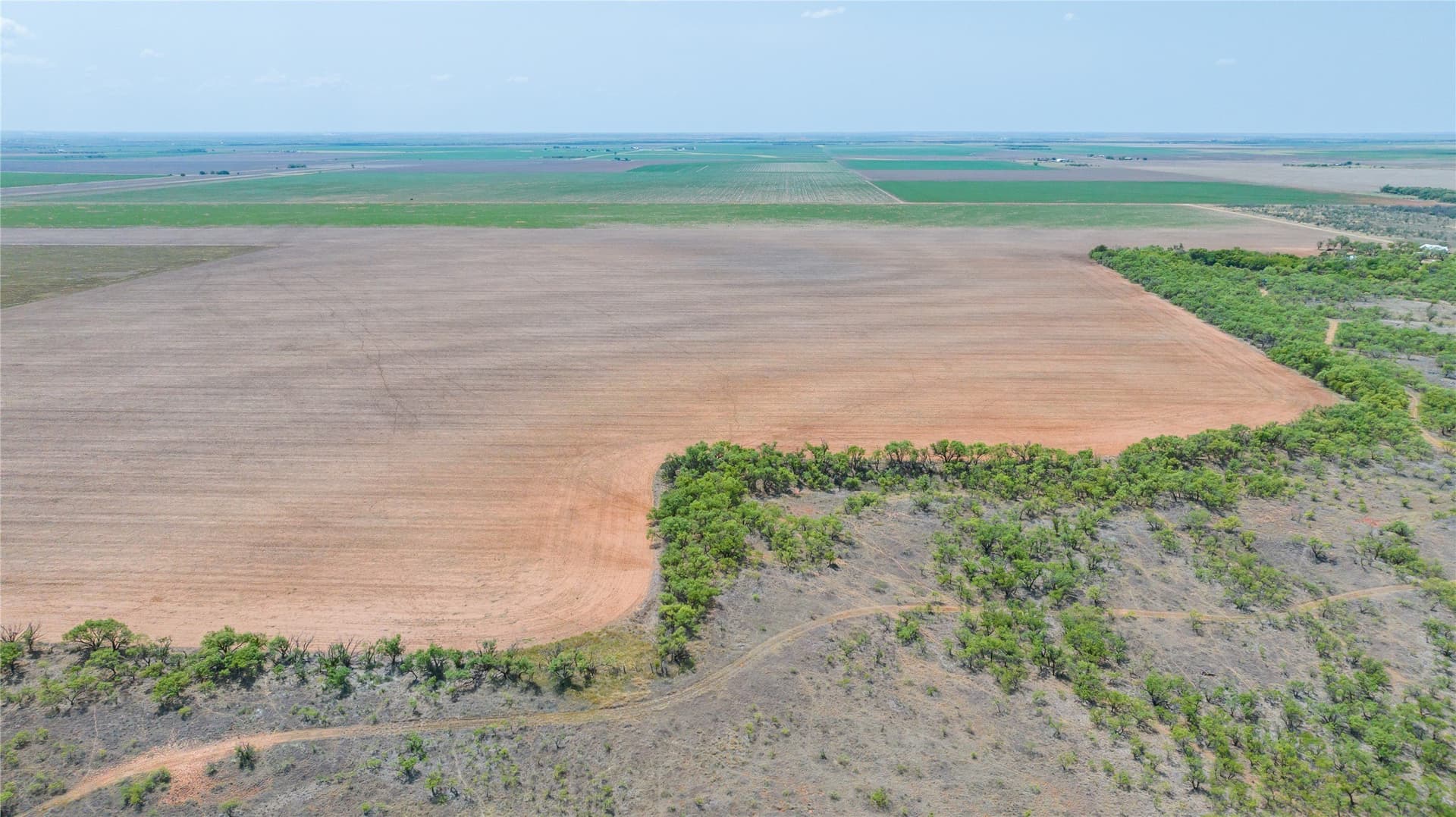 420.5 acres in Jones County - photo 7