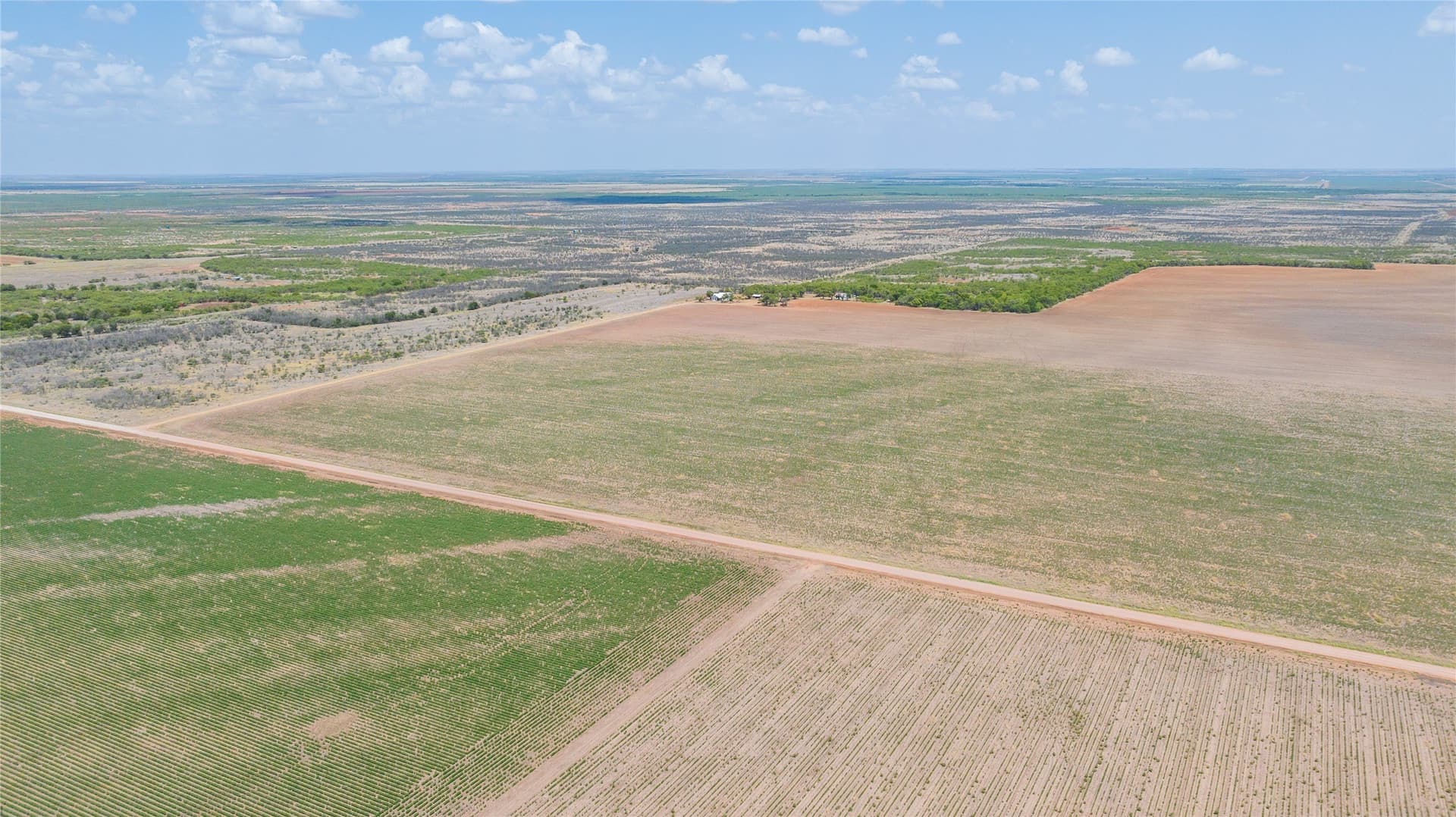 420.5 acres in Jones County - photo 4