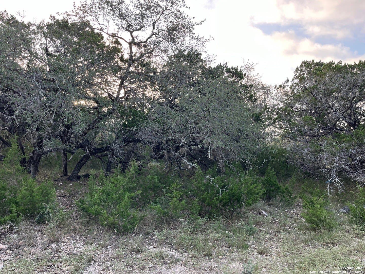 0.86 acres in Real County gallery image 4