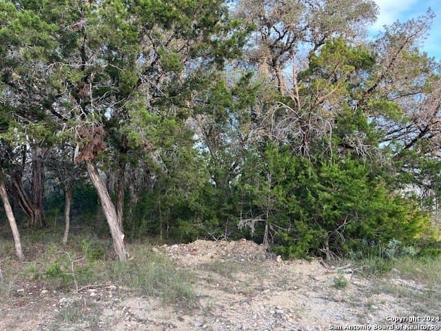 0.86 acres in Real County gallery image 3