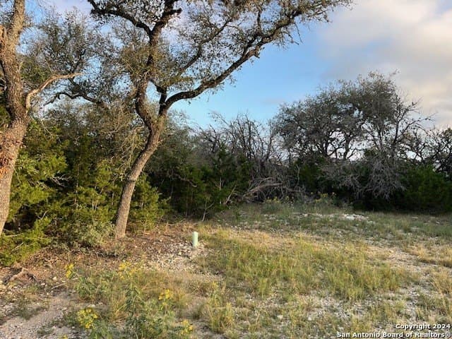 0.86 acres in Real County gallery image 2