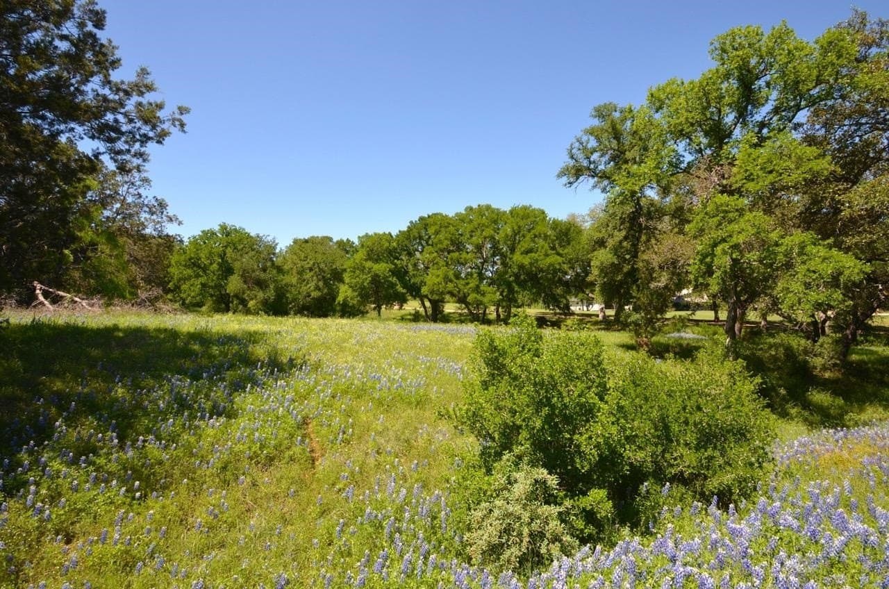 0.25 acres in Llano County - photo 12