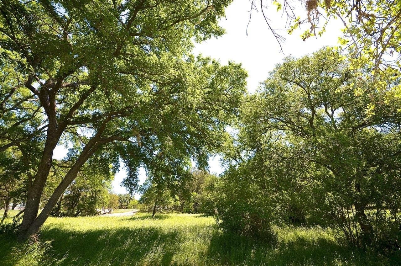 0.25 acres in Llano County - photo 19