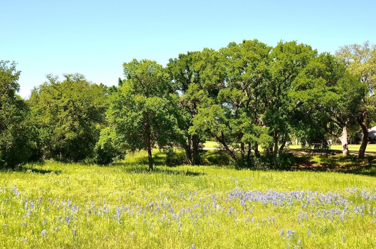 0.25 acres in Llano County - photo 13