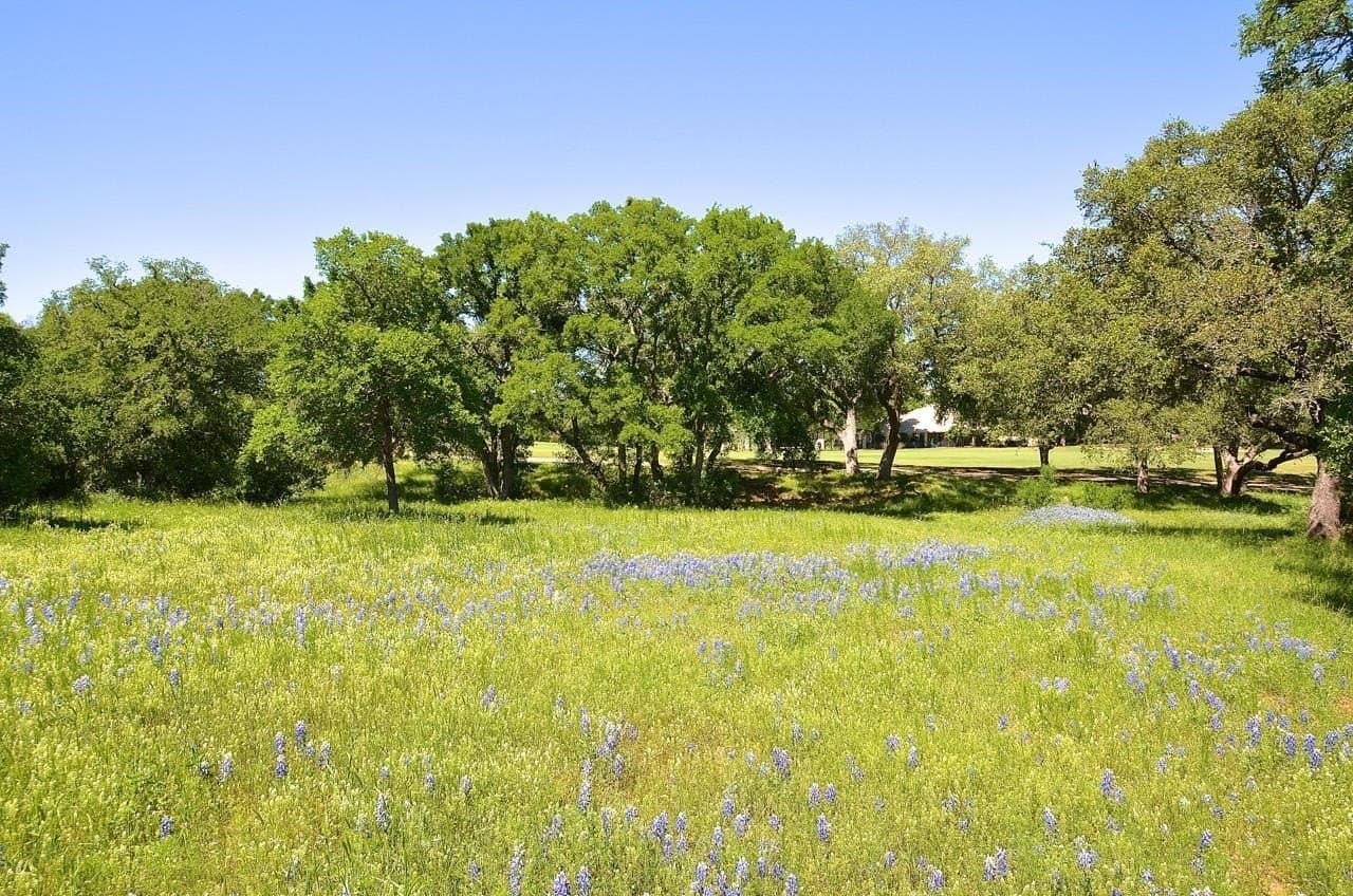 0.25 acres in Llano County - photo 14
