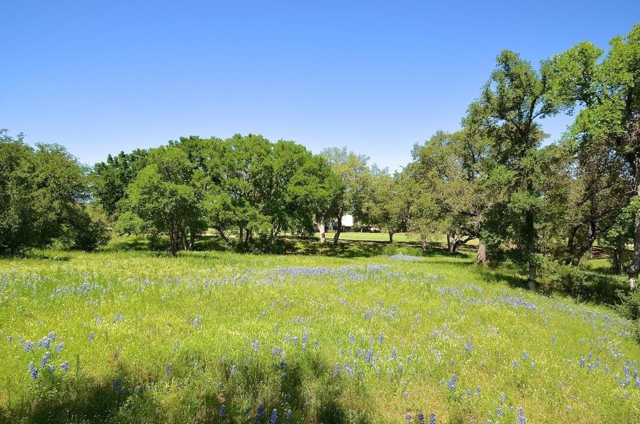 0.25 acres in Llano County - photo 21