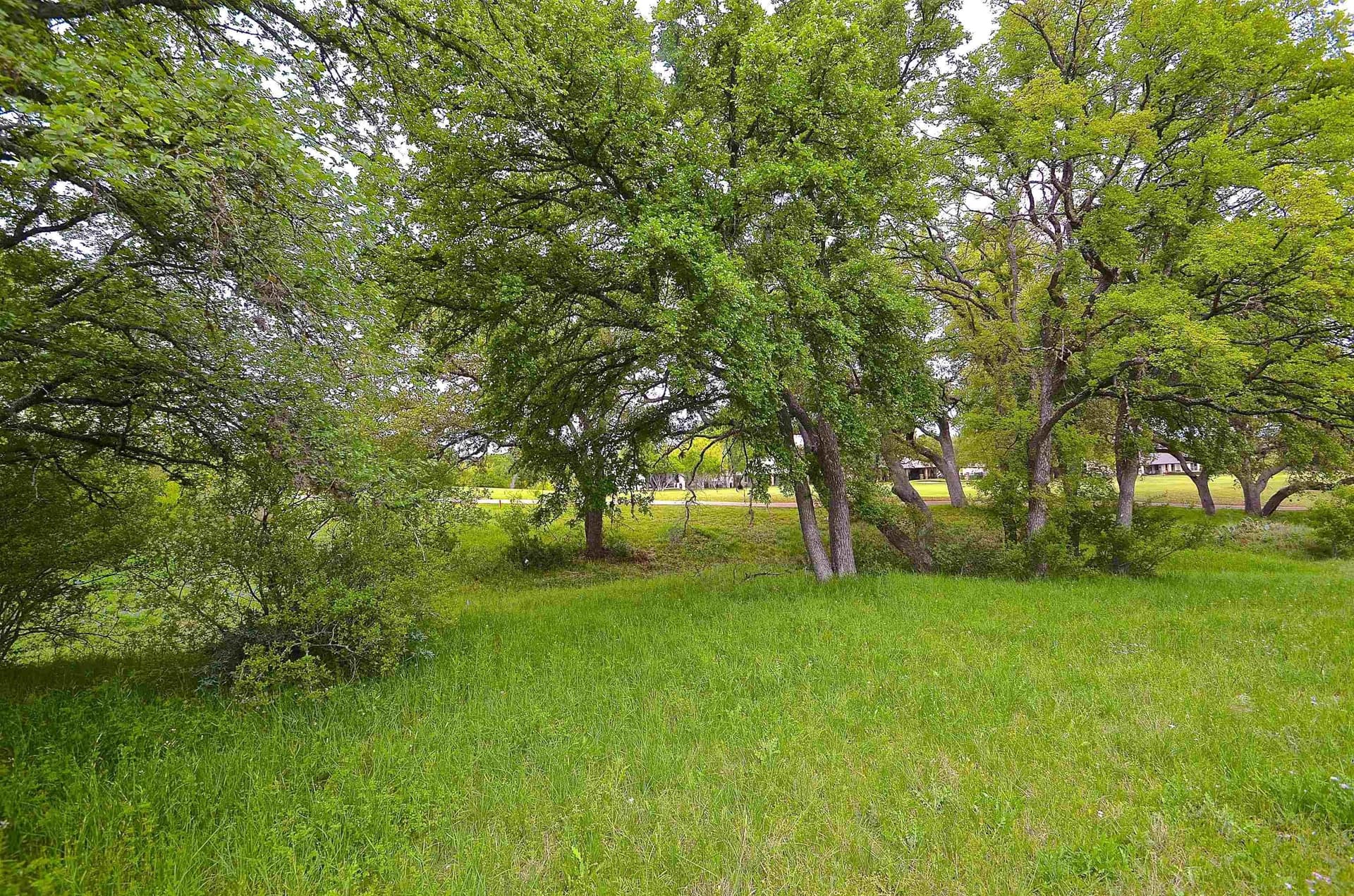 0.25 acres in Llano County - photo 6