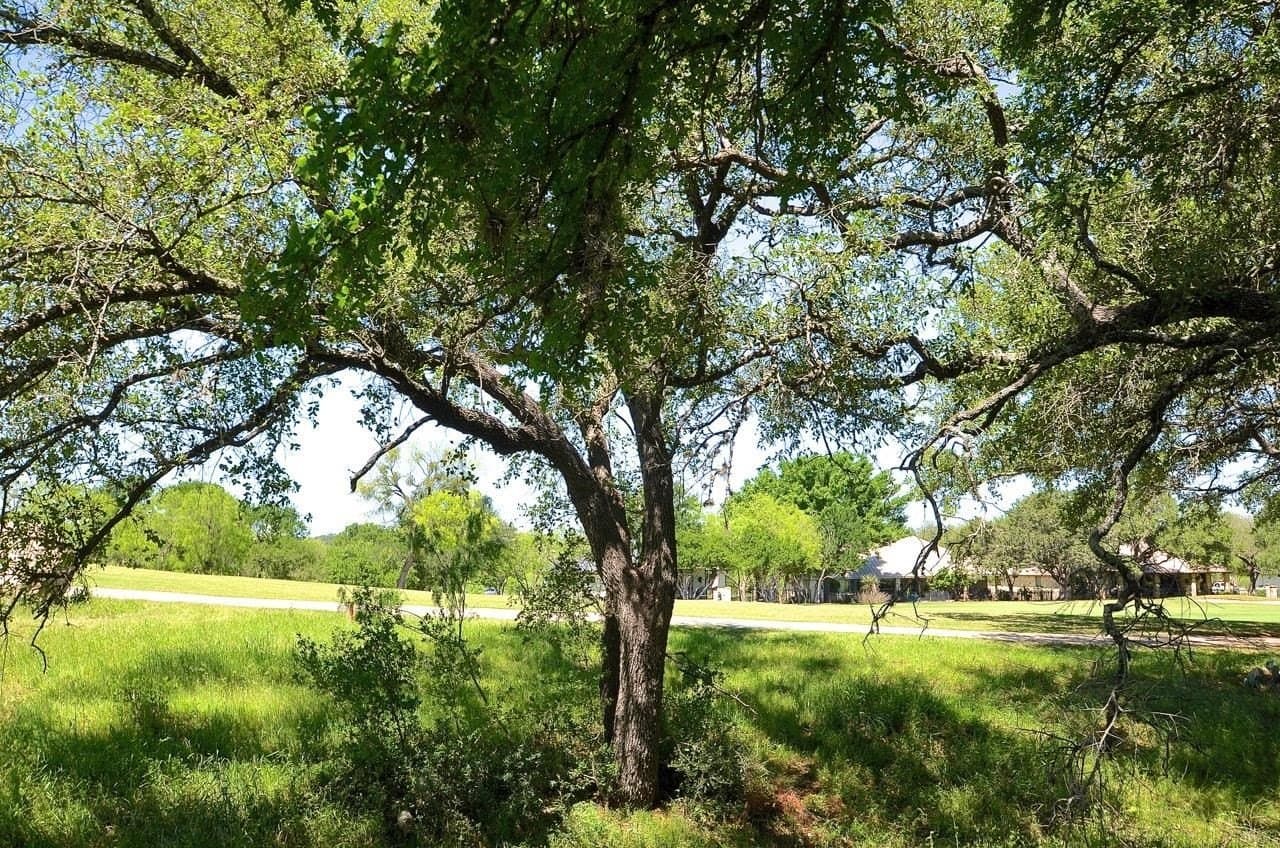 0.25 acres in Llano County - photo 15