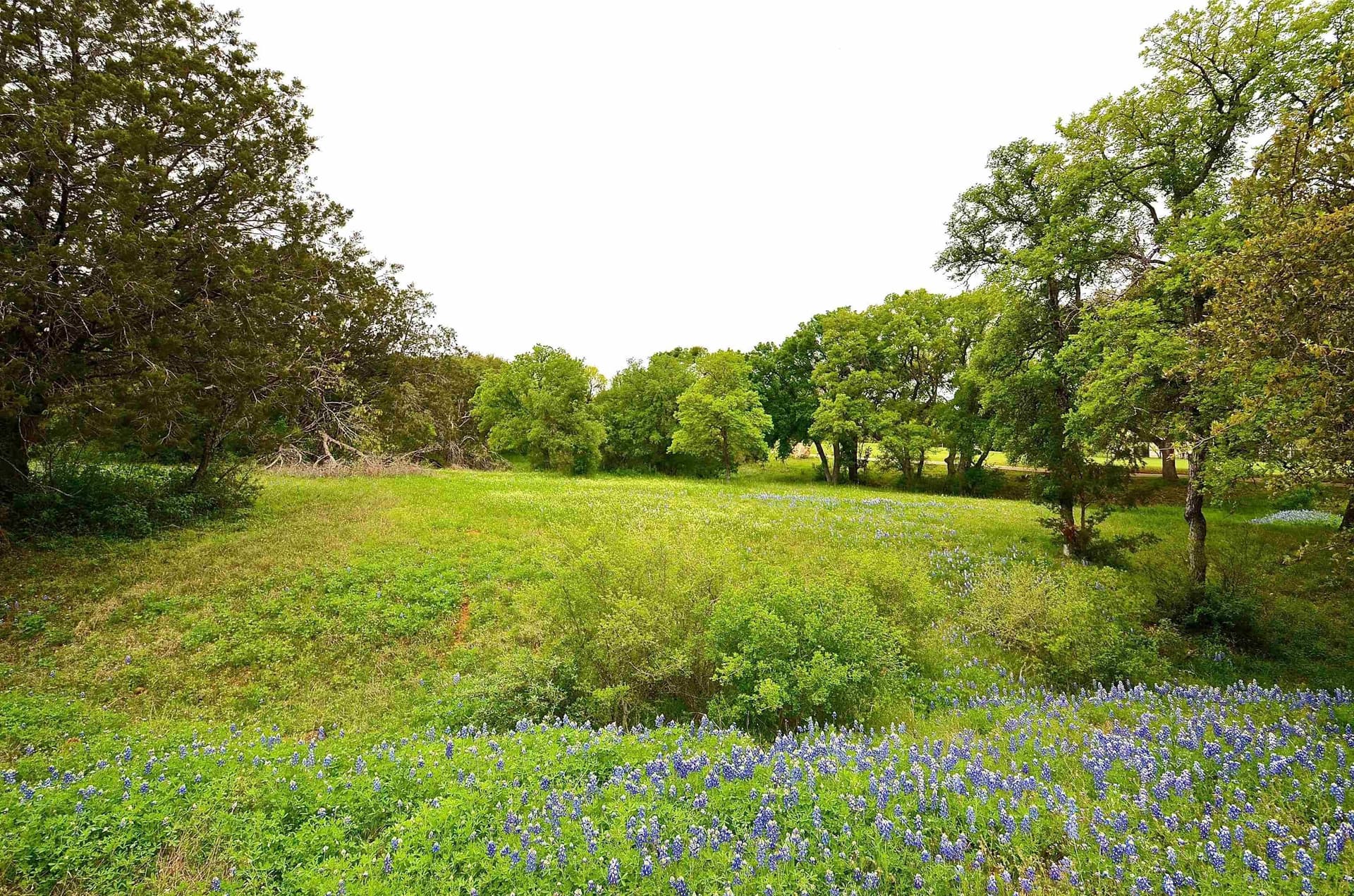 0.25 acres in Llano County - photo 5
