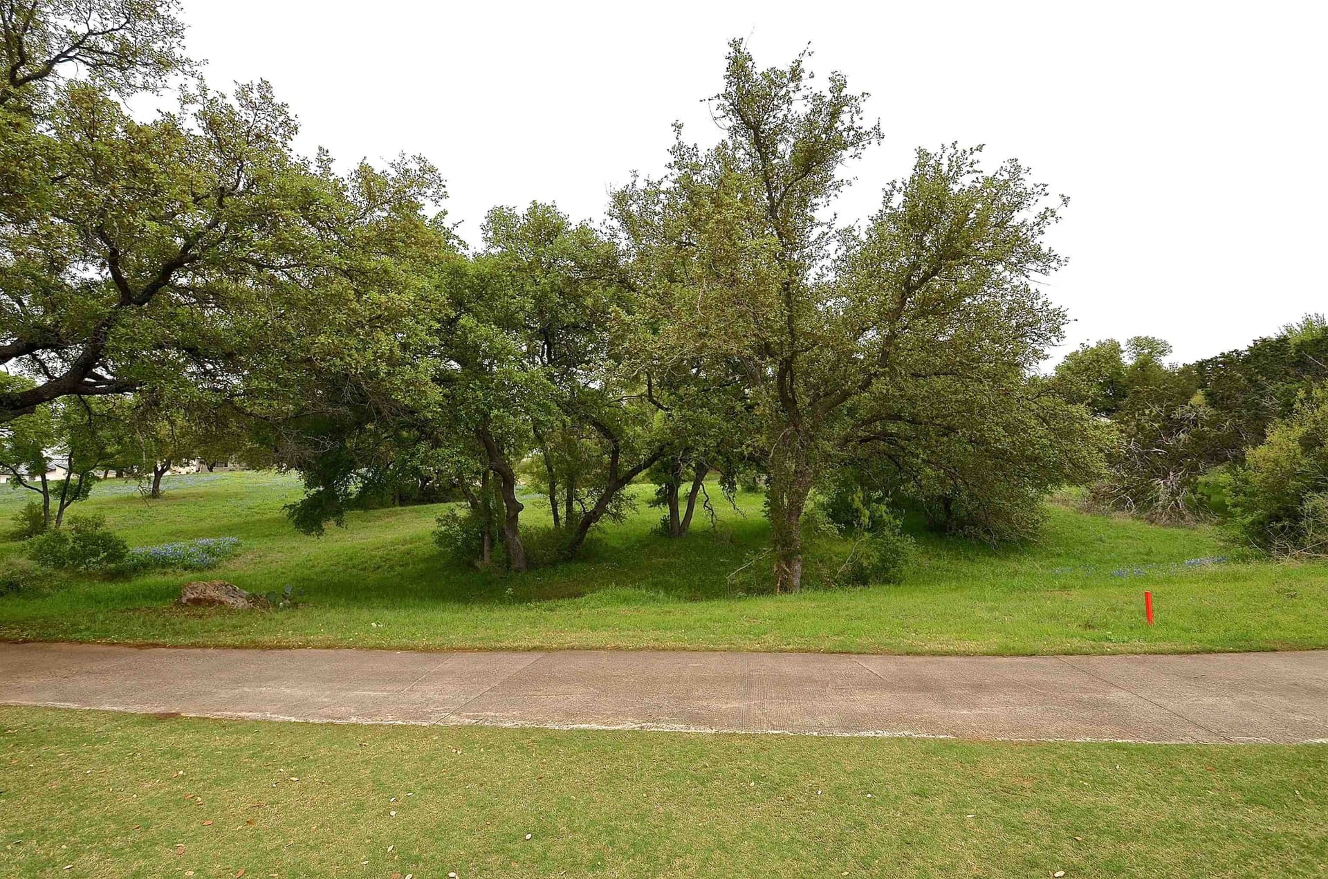 0.25 acres in Llano County - photo 4