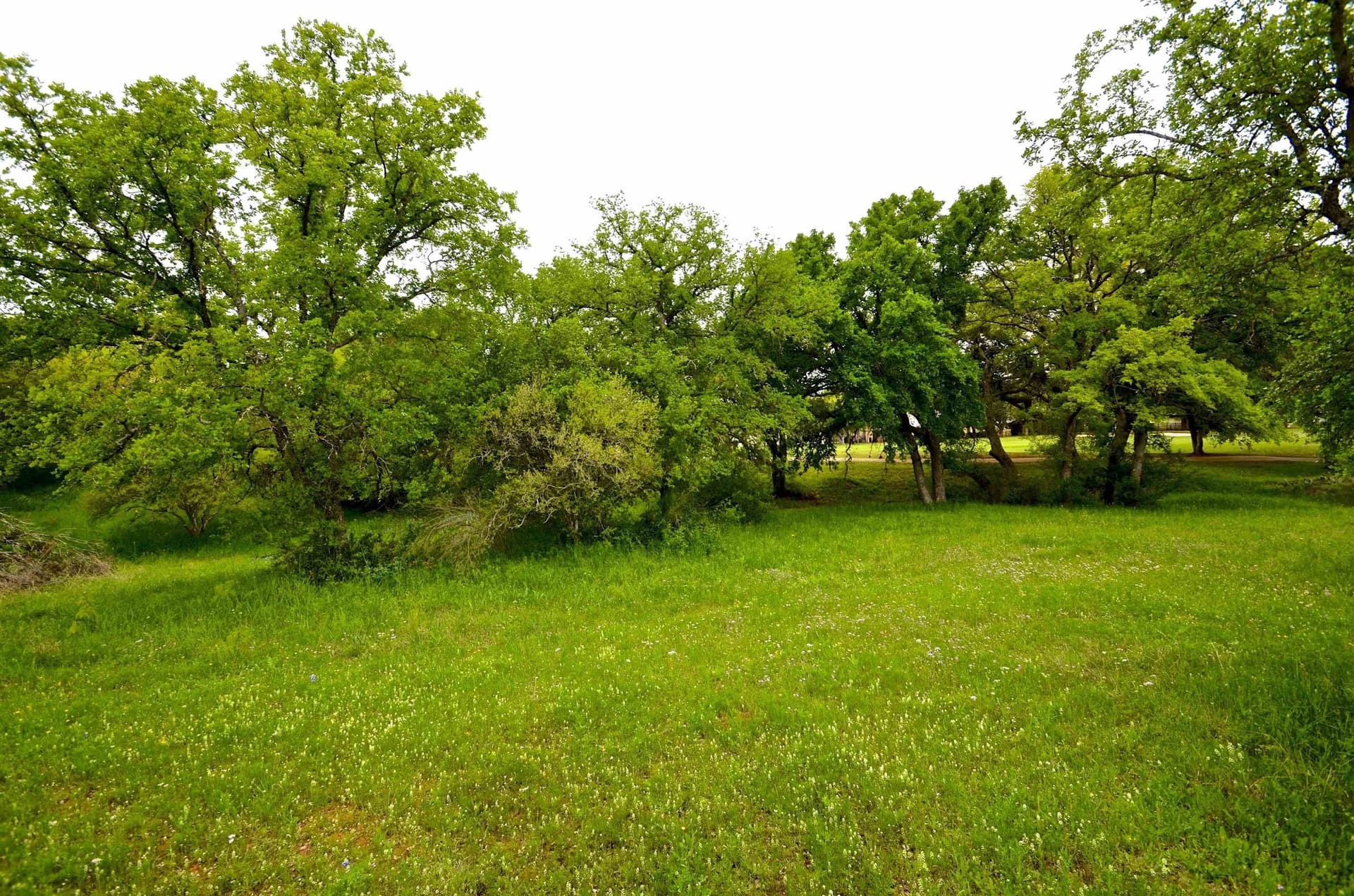 0.25 acres in Llano County - photo 7