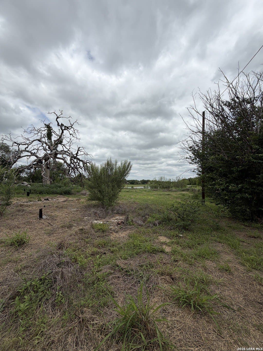 0.6 acres in Atascosa County gallery image 2
