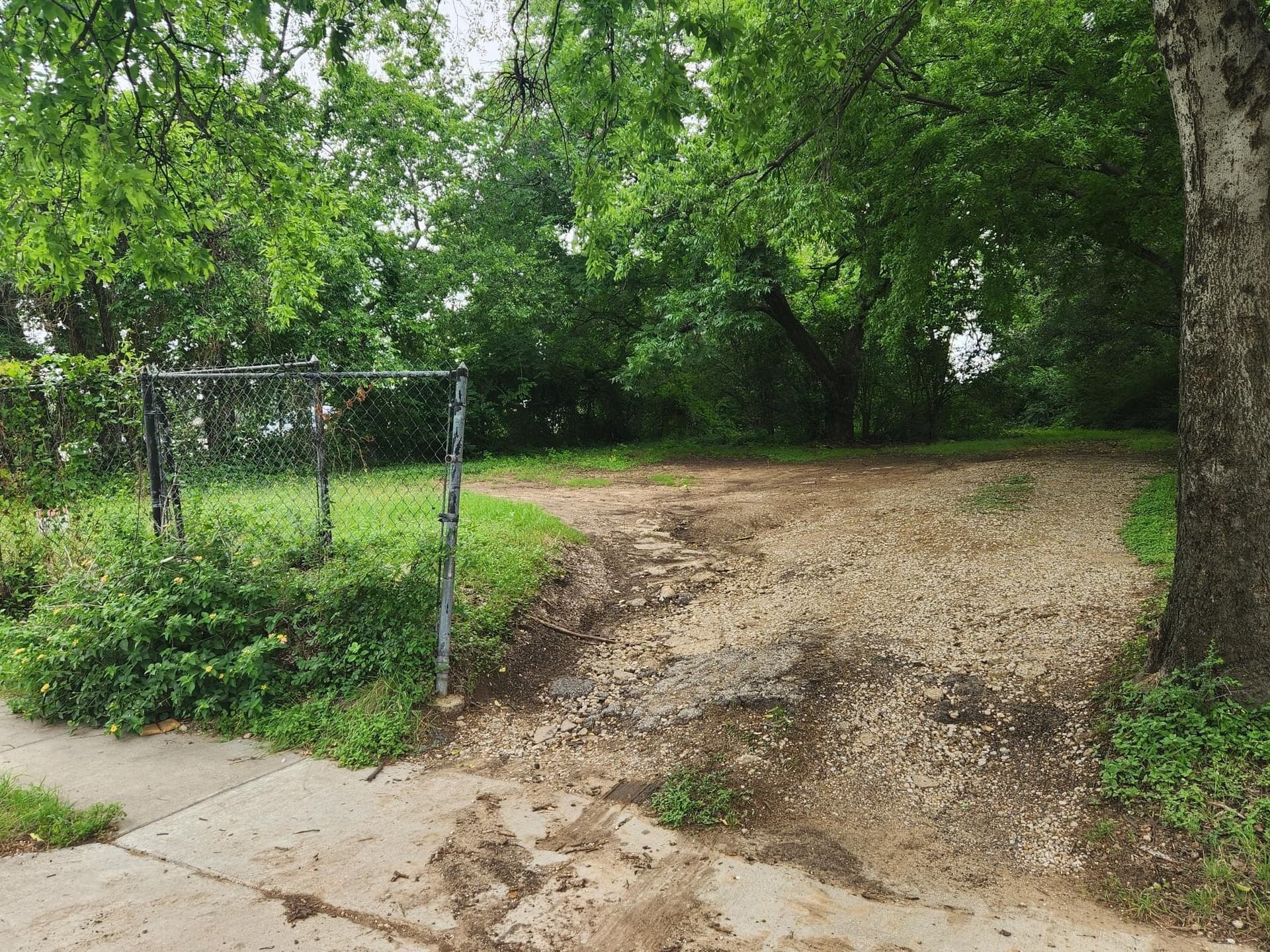 0.2 acres in Dallas County gallery image 4