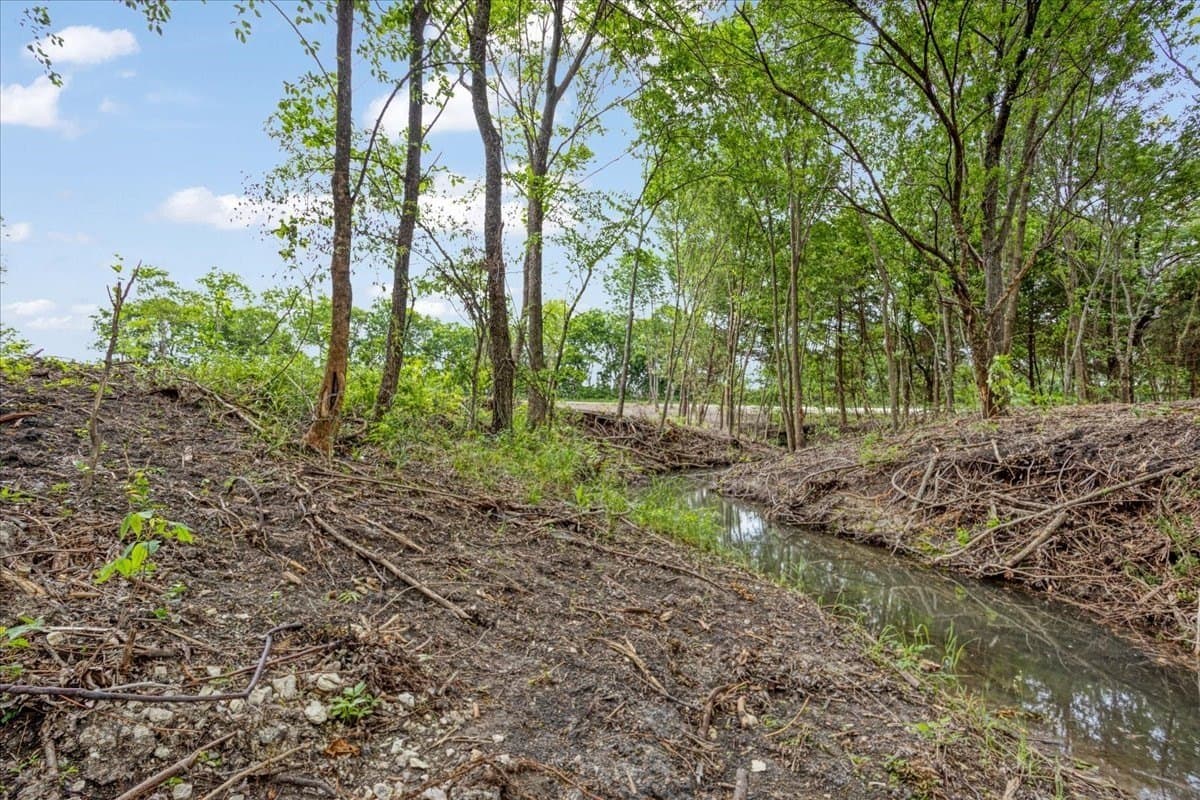 22 acres in Grayson County - photo 9