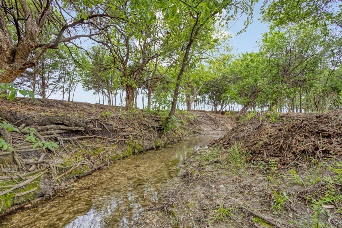22 acres in Grayson County - photo 10