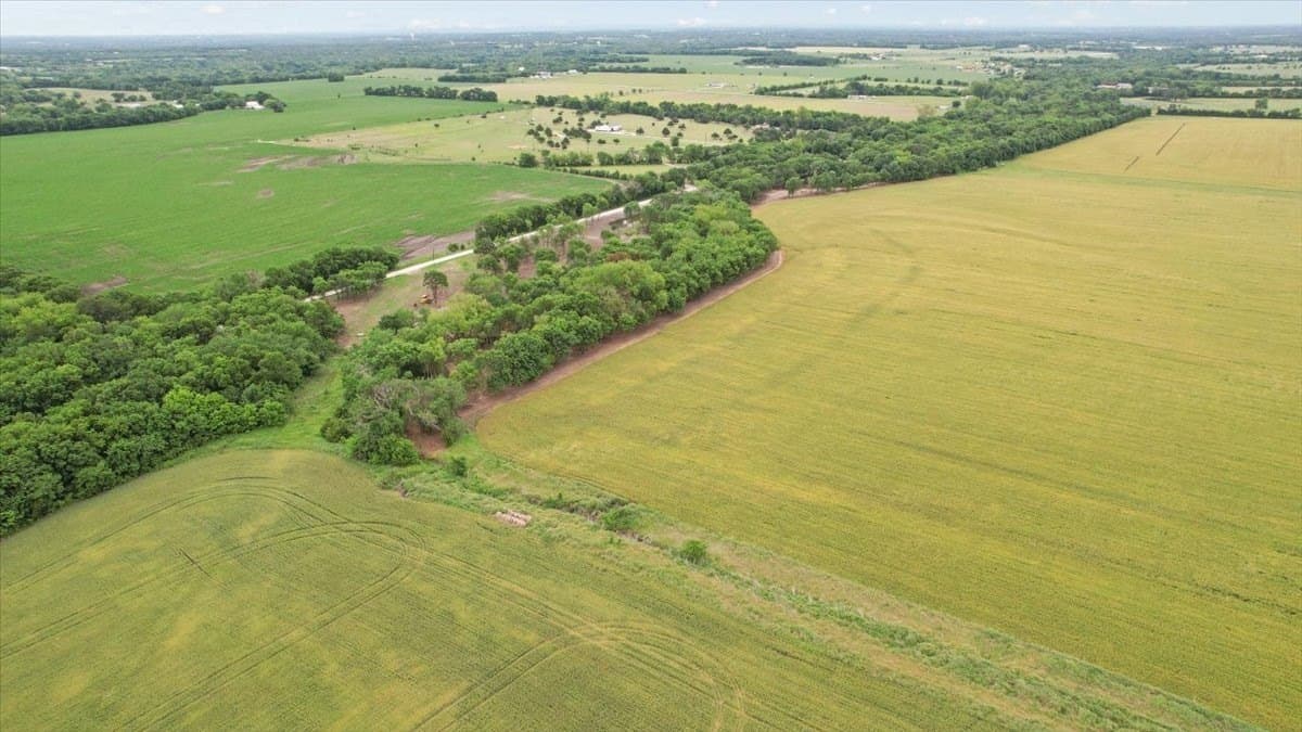 22 acres in Grayson County - photo 17