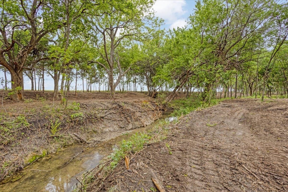 22 acres in Grayson County - photo 8