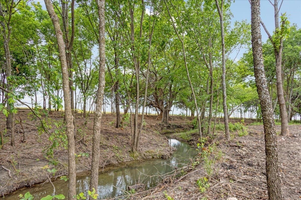 22 acres in Grayson County - photo 7